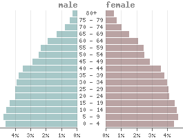 Pirâmide etária Fiji 2021