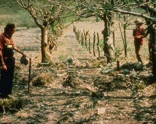 Terremotos em Los Amateos 1976, Guatemala Terremotos em Los Amateos 1976, Guatemala