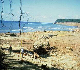 Tsunami em Flores Maumere 1992, Indonésia